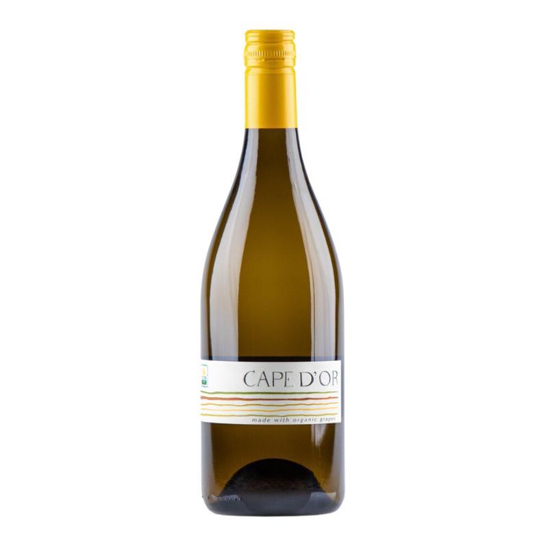 Cape D\'Or Wines ORGANIC Chenin Blanc Western Cape South Africa 2022