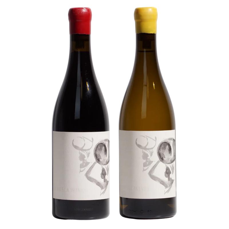 Tembela Duo | South African Natural Wine Bundle