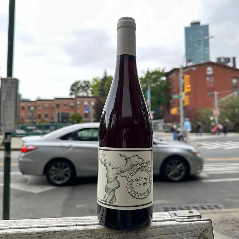 Jean-Christophe Garnier, \"Gamay-Aunis\" 2023