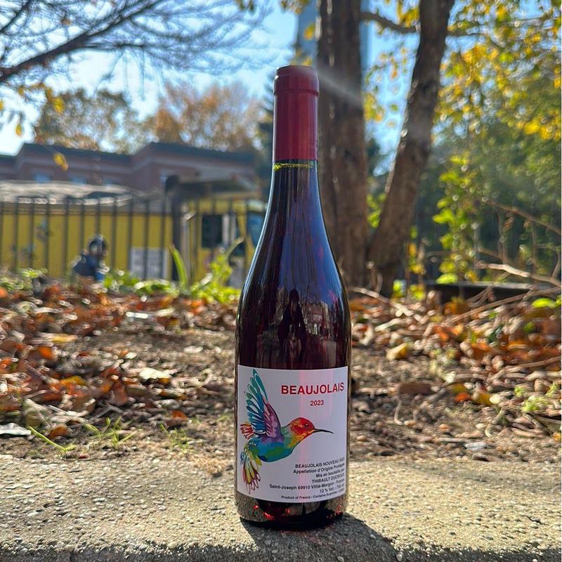 Thibault Ducroux, \"Beaujolais Nouveau\" 2023