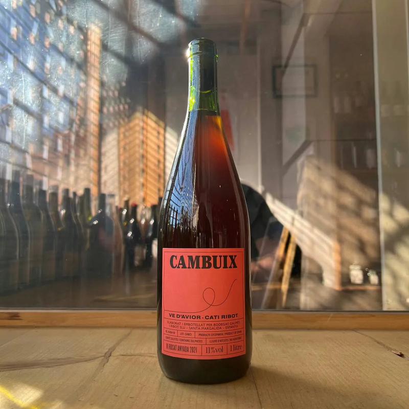 Cati Ribot, \"Cambuix\" 2021